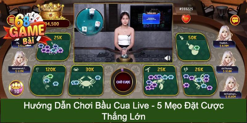 Bầu cua live